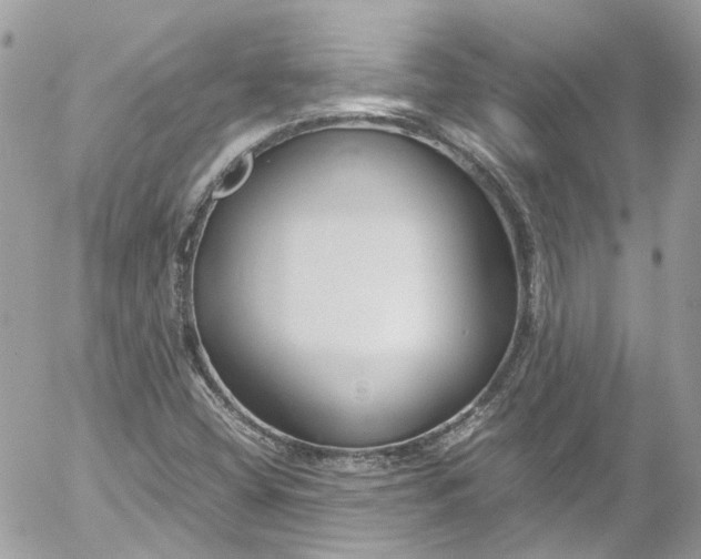 X0000052551404200507221439