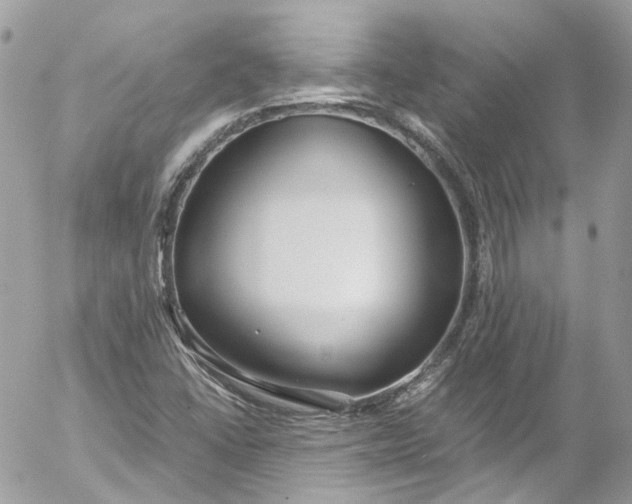 X0000052551406200507221439