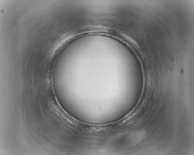 X0000052551407200507221439