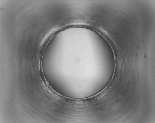 X0000052551408200507221439