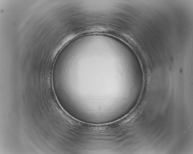 X0000052551409200507221439