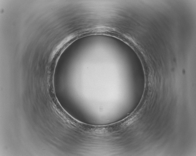 X0000052551410200507221439