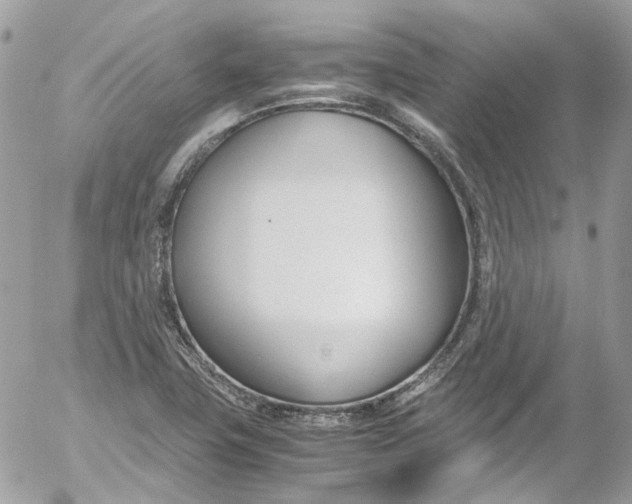 X0000052551411200507221439