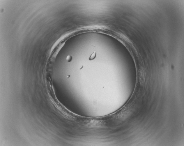 X0000052551412200507221439