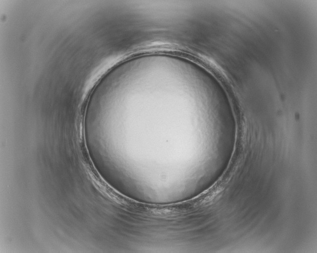 X0000052551413200507221439