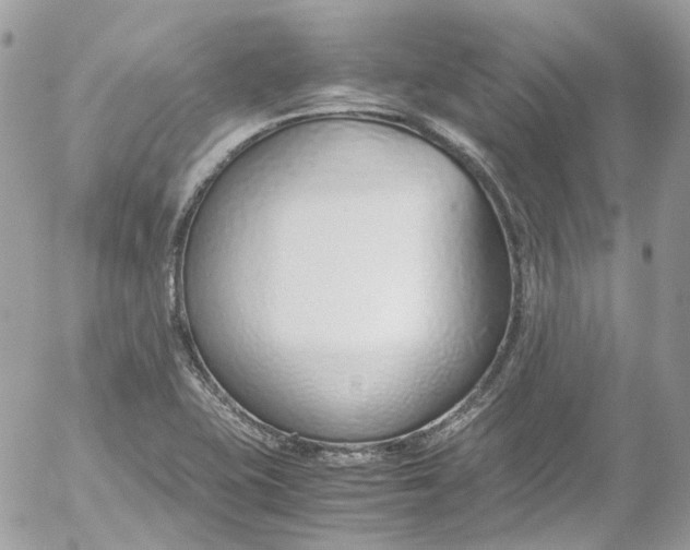 X0000052551415200507221439