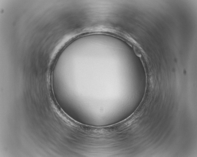 X0000052551416200507221439