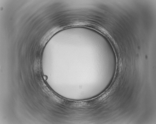 X0000052551417200507221439