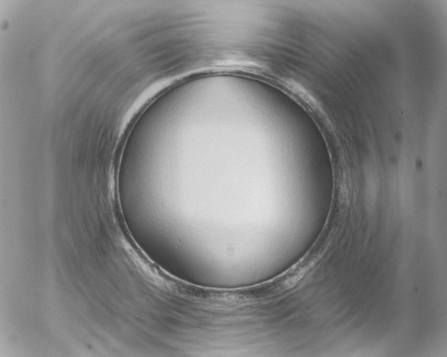 X0000052551420200507221439