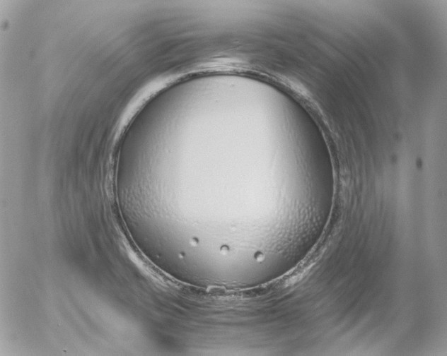 X0000052551421200507221439