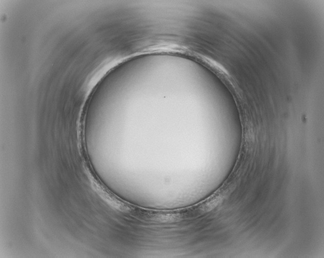 X0000052551423200507221439