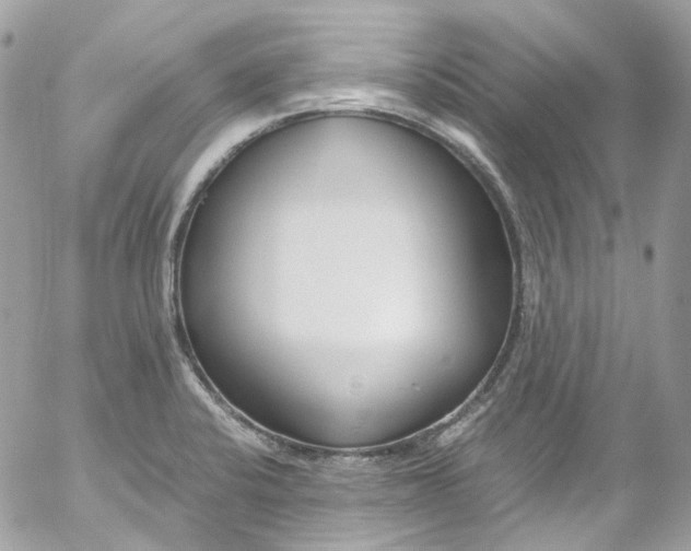 X0000052551424200507221440