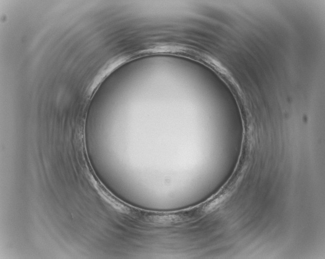 X0000052551425200507221440