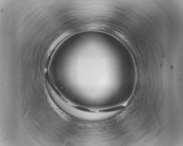 X0000052551426200507221440