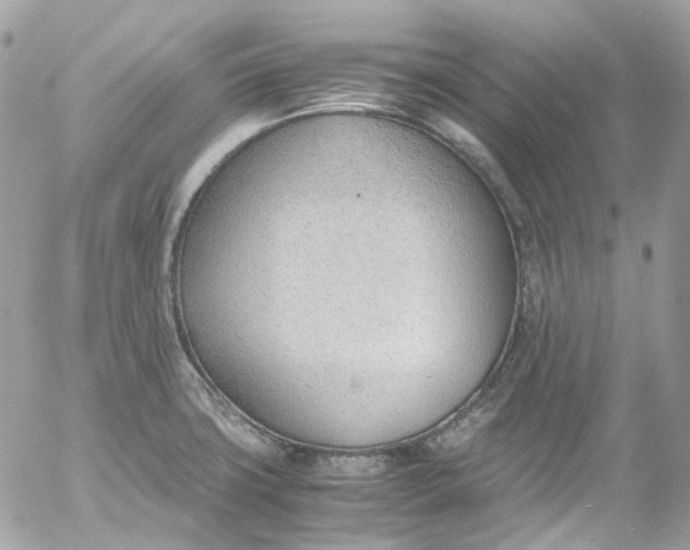 X0000052551427200507221440