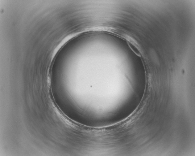 X0000052551428200507221440