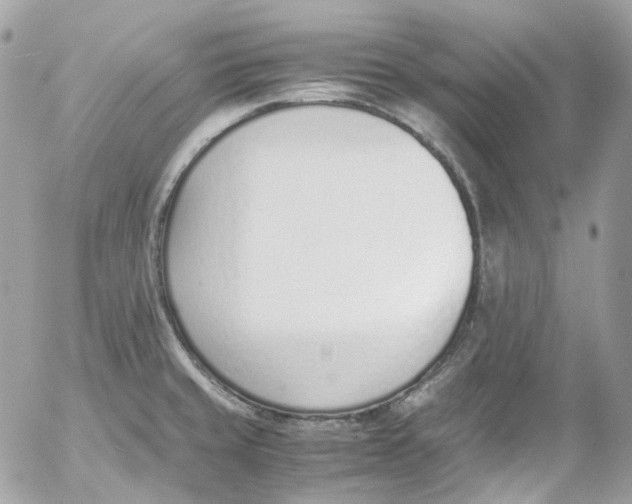 X0000052551429200507221440