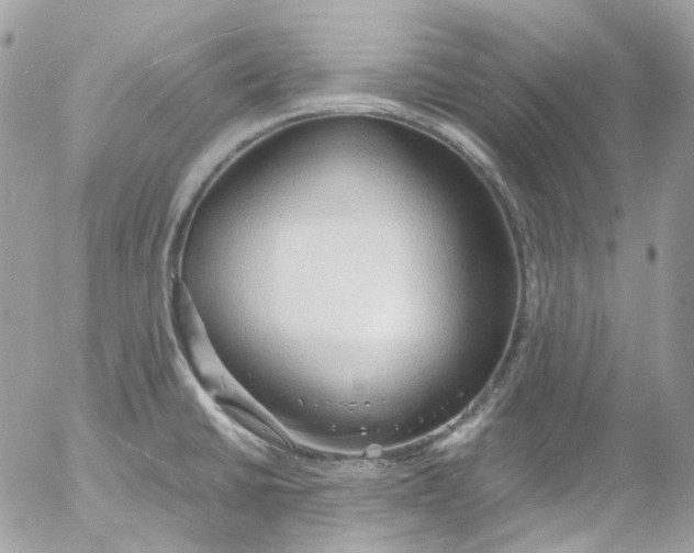 X0000052551430200507221440