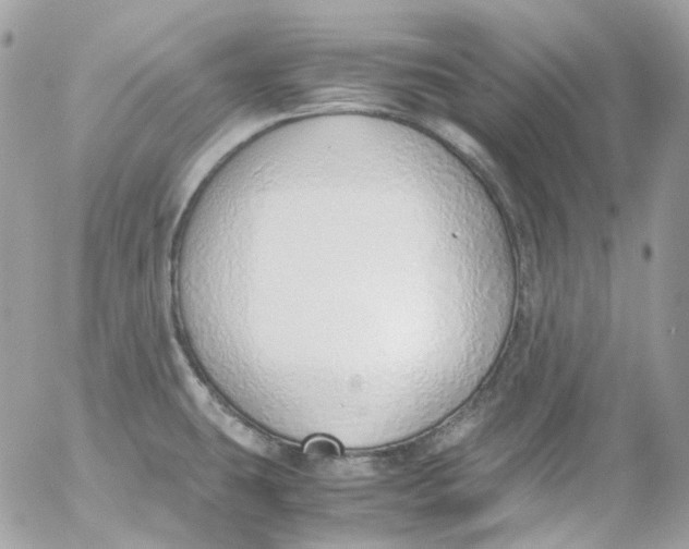 X0000052551431200507221440