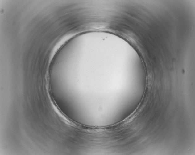 X0000052551432200507221440