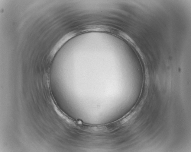 X0000052551433200507221440