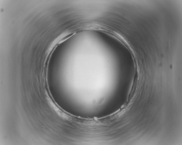 X0000052551434200507221440