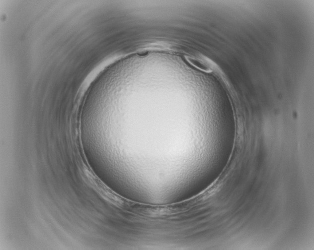 X0000052551435200507221440