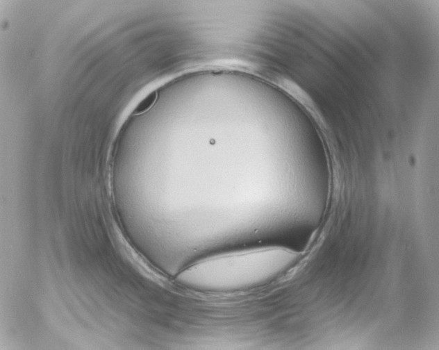 X0000052551436200507221440