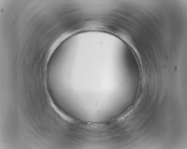 X0000052551437200507221440