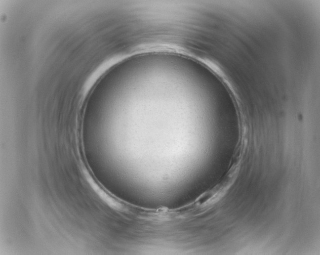 X0000052551438200507221440