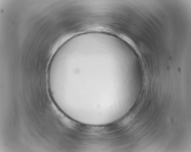 X0000052551439200507221440