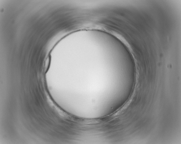 X0000052551440200507221440