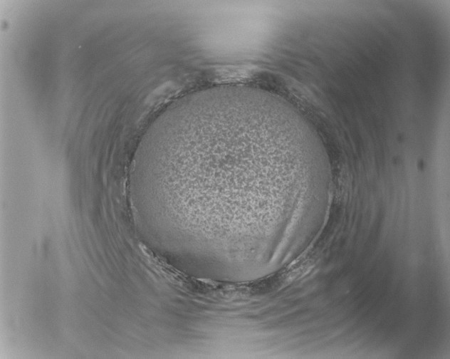 X0000052551441200507221439