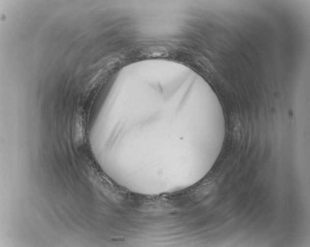 X0000052551442200507221439