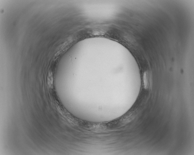 X0000052551443200507221439