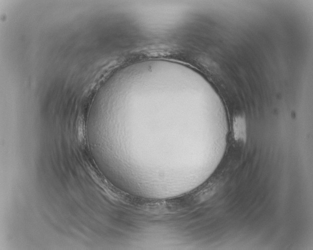 X0000052551444200507221439