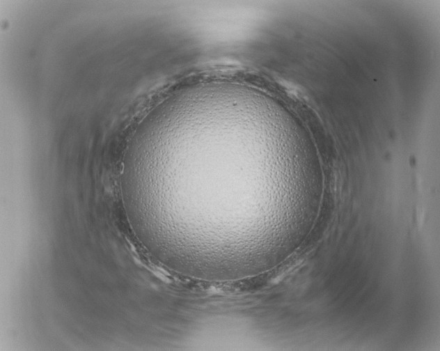 X0000052551445200507221439