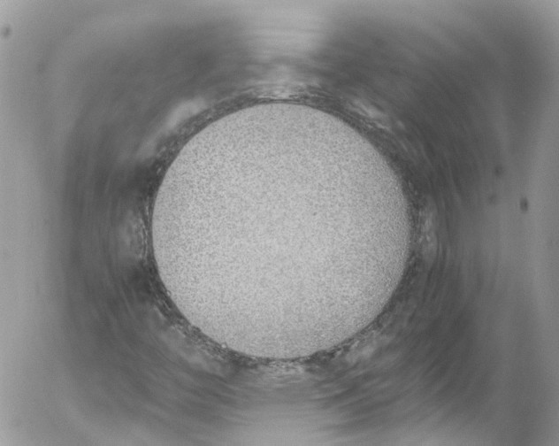 X0000052551446200507221439