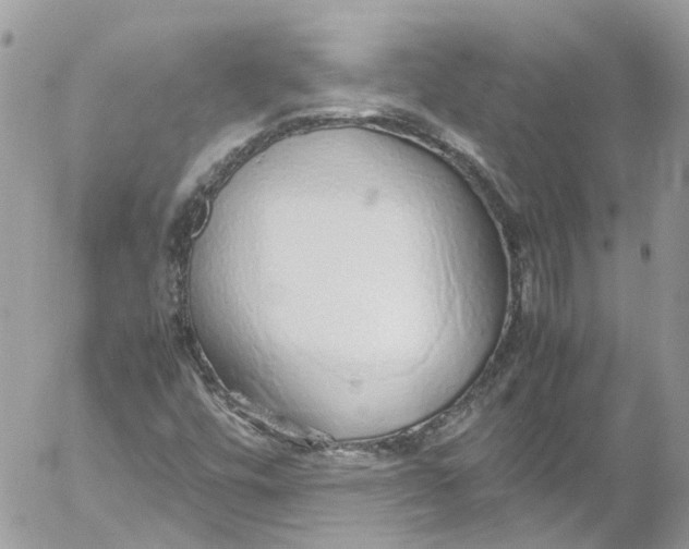 X0000052551448200507221439