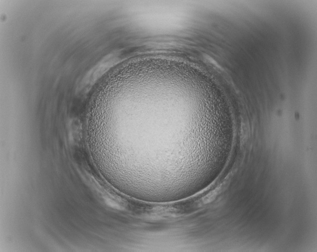 X0000052551449200507221439