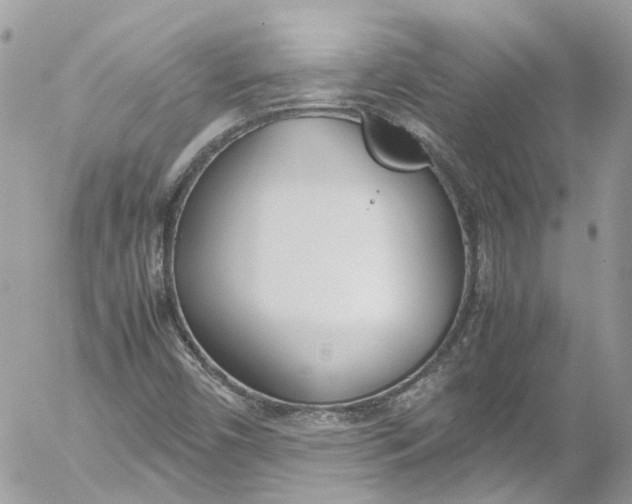 X0000052551450200507221439