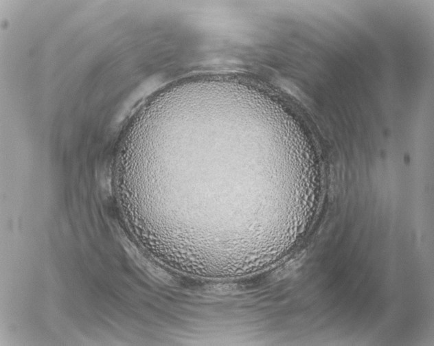 X0000052551451200507221439