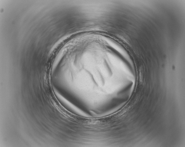 X0000052551452200507221439