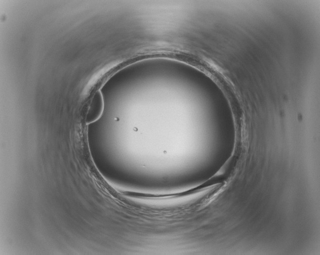 X0000052551453200507221439