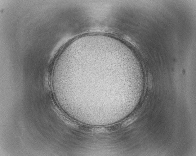 X0000052551454200507221439