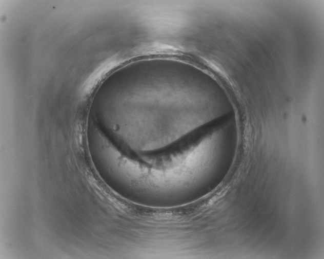 X0000052551455200507221439