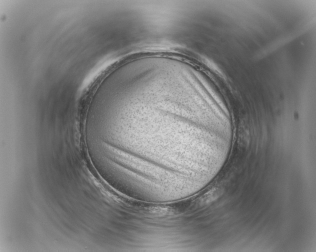 X0000052551456200507221439