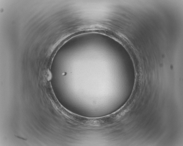 X0000052551457200507221439