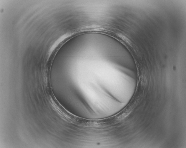 X0000052551458200507221439