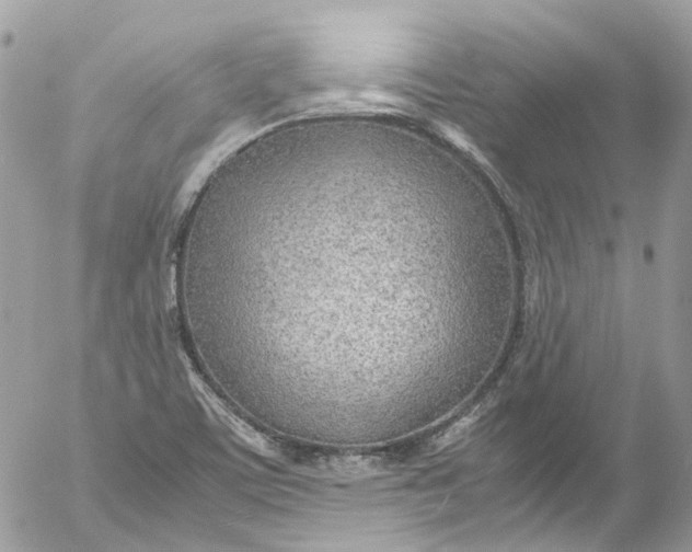 X0000052551459200507221439